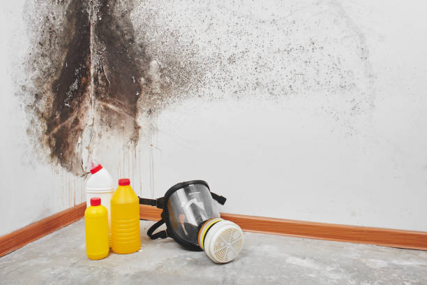 Best Mold Cleaning Services  in Snoqualmie, WA