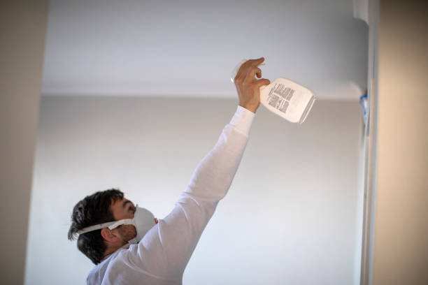 Best Same-Day Mold Removal  in Snoqualmie, WA