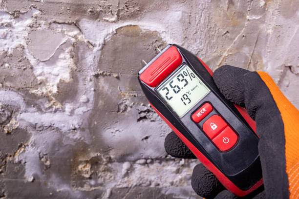 Best Mold Testing  in Snoqualmie, WA
