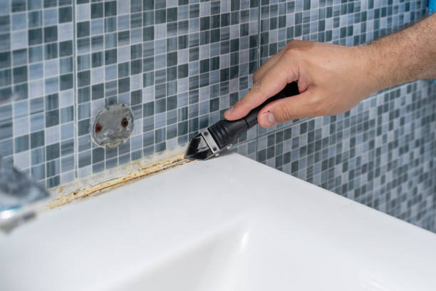 Best Office Mold Removal Services  in Snoqualmie, WA