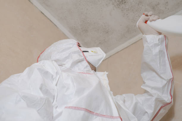 Home Mold Removal in Snoqualmie, WA